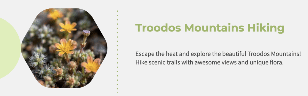 Must-Visit Places in Cyprus