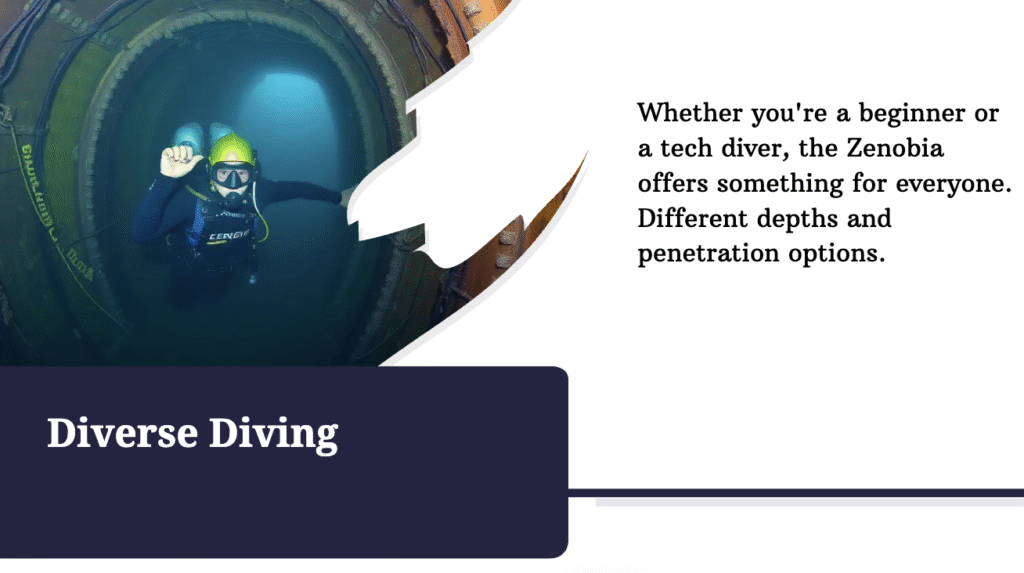 Diving at the Zenobia wreck